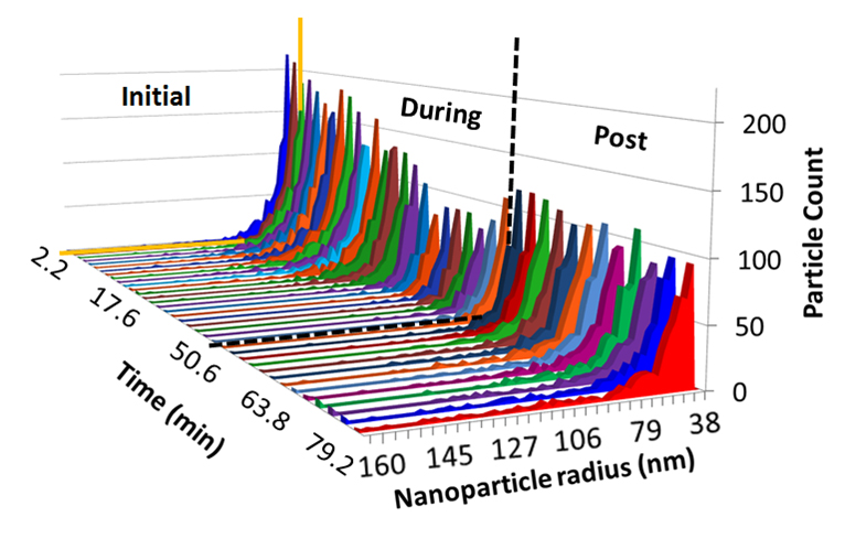 Three-dimensional histogram of the silver-particle count and radius as a function of time, based on data from the photodissolution images