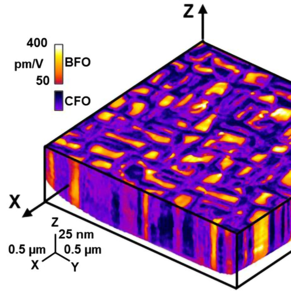 https://mse.engr.uconn.edu/wp-content/uploads/2024/11/piezoresponse-for-a-nanocomposite600w.jpg