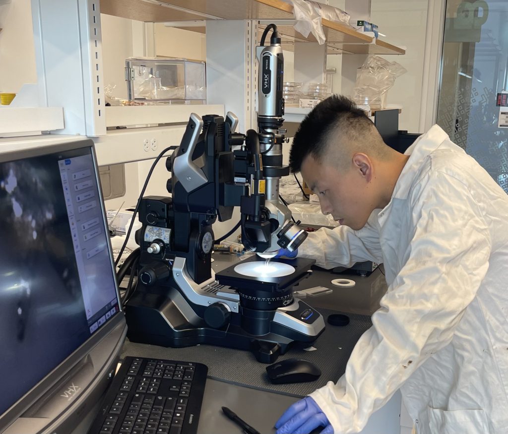 Yi Li, postdoc in Associate Professor Xueju “Sophie” Wang’s laboratory 